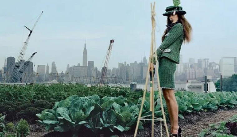 The Rise of Sustainable Fashion: Embracing Eco-Friendly Trends for a Greener Wardrobe