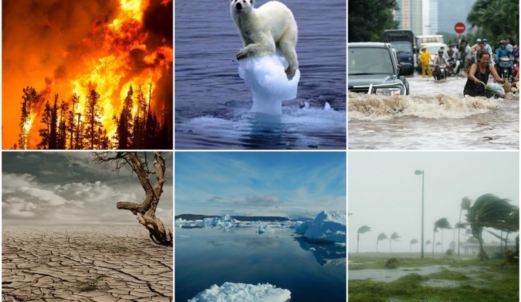 Understanding Climate Change: Causes, Effects, and Solutions for a Sustainable Future