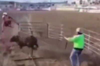 Terrifying Encounter: Two Men's Death-Defying Escape from a Vicious Bull Attack!
