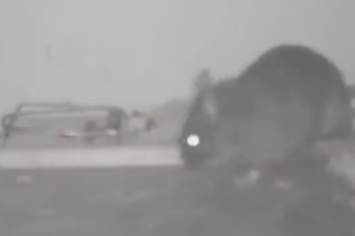 When a Mouse Becomes the Ultimate Host: Hilarious Video of a Tiny Chef Offering Gourmet Treats!