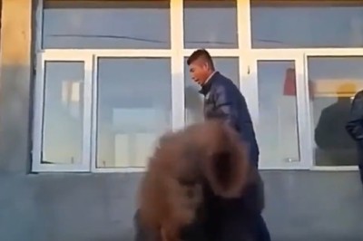 Chow Chow Dance Party: Groovin' Pup Moves!