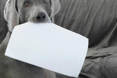 When the World Stood Still: How One Hero's Brave Act Amid a Global Crisis Inspired Millions and Changed Lives Forever!