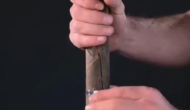 From Trash to Treasure: Giving a Cutting New Life 🌱